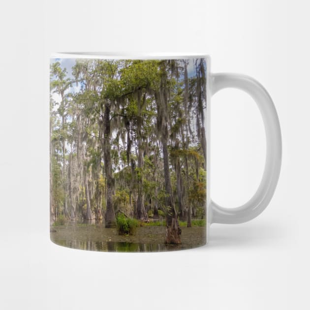 Cypress Trees and Reflections in the Bayou Swamp by SafariByMarisa